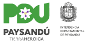 Cliente: Intendencia de Paysandú - Estudio Rocha